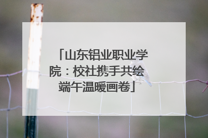 山东铝业职业学院：校社携手共绘端午温暖画卷