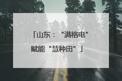 山东：“满格电”赋能“慧种田”