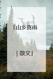 山乡喜雨｜散文
