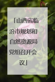 山西省临汾市规划和自然资源局党组召开会议