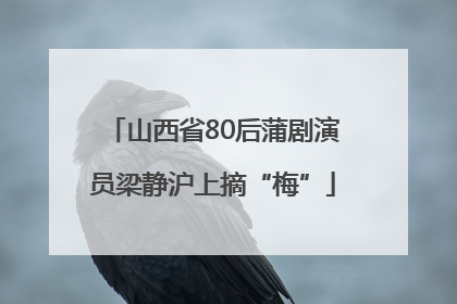 山西省80后蒲剧演员梁静沪上摘“梅”