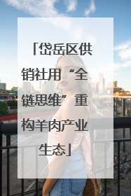 岱岳区供销社用“全链思维”重构羊肉产业生态