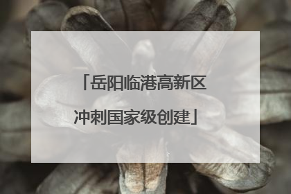 岳阳临港高新区冲刺国家级创建