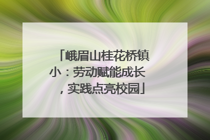 峨眉山桂花桥镇小：劳动赋能成长，实践点亮校园
