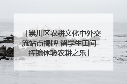 崇川区农耕文化中外交流站点揭牌 留学生田间挥镰体验农耕之乐