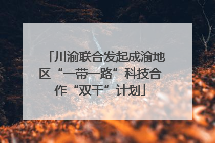 川渝联合发起成渝地区“一带一路”科技合作“双千”计划