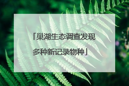 巢湖生态调查发现多种新记录物种