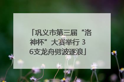 巩义市第三届“洛神杯”大赛举行 36支龙舟劈波逐浪