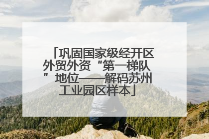 巩固国家级经开区外贸外资“第一梯队”地位——解码苏州工业园区样本