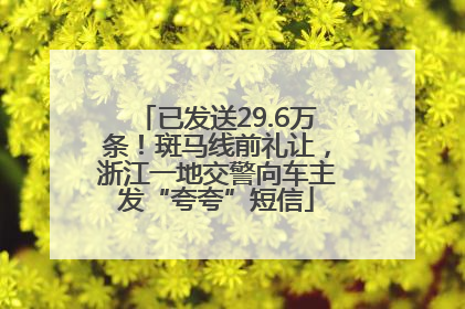 已发送29.6万条！斑马线前礼让，浙江一地交警向车主发“夸夸”短信