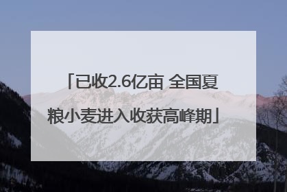 已收2.6亿亩 全国夏粮小麦进入收获高峰期