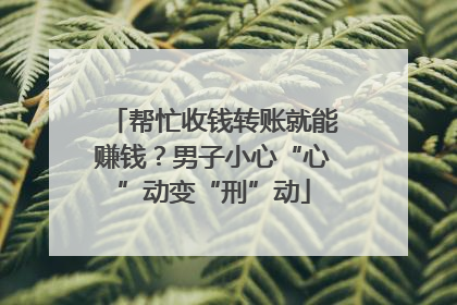 帮忙收钱转账就能赚钱？男子小心“心”动变“刑”动