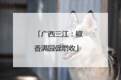 广西三江：椒香满园促增收