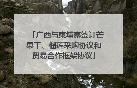 广西与柬埔寨签订芒果干、榴莲采购协议和贸易合作框架协议