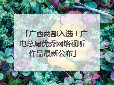广西两部入选！广电总局优秀网络视听作品最新公布