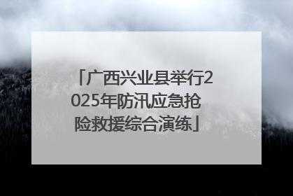 广西兴业县举行2025年防汛应急抢险救援综合演练