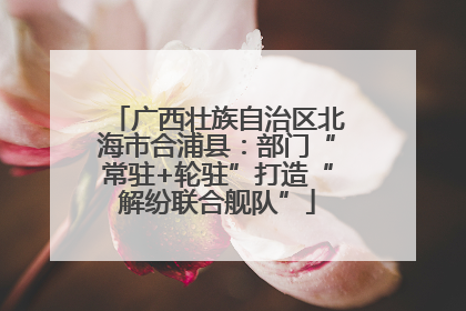 广西壮族自治区北海市合浦县：部门“常驻+轮驻”打造“解纷联合舰队”