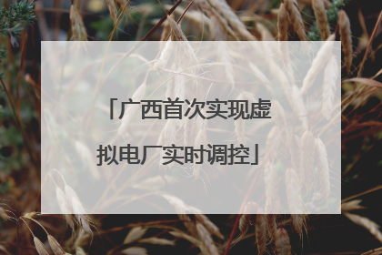 广西首次实现虚拟电厂实时调控