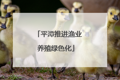 平潭推进渔业养殖绿色化