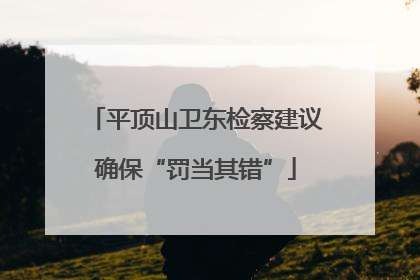 平顶山卫东检察建议确保“罚当其错”