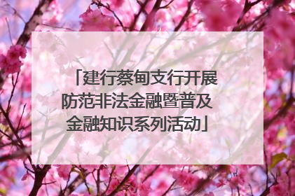 建行蔡甸支行开展防范非法金融暨普及金融知识系列活动