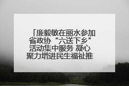 廉毅敏在丽水参加省政协“六送下乡”活动集中服务 凝心聚力增进民生福祉推进共同富裕