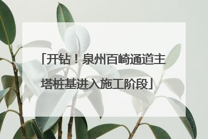 开钻！泉州百崎通道主塔桩基进入施工阶段