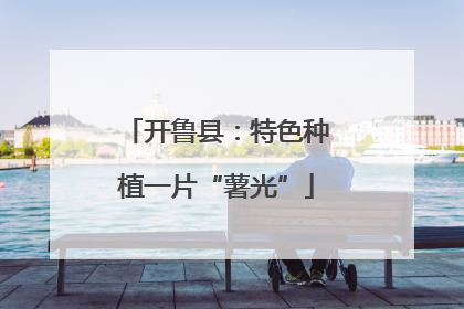 开鲁县：特色种植一片“薯光”