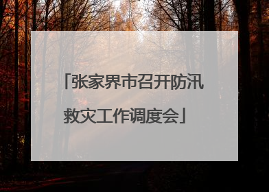 张家界市召开防汛救灾工作调度会