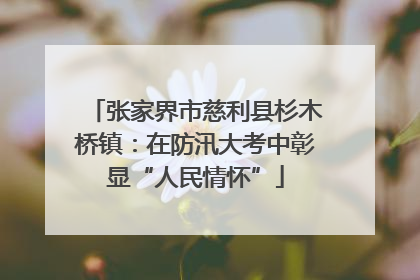 张家界市慈利县杉木桥镇：在防汛大考中彰显“人民情怀”