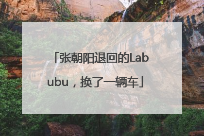 张朝阳退回的Labubu，换了一辆车