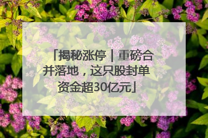 揭秘涨停｜重磅合并落地，这只股封单资金超30亿元