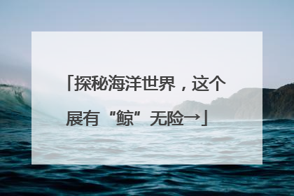 探秘海洋世界，这个展有“鲸”无险→