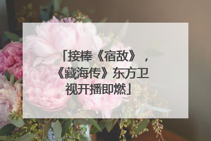 接棒《宿敌》，《藏海传》东方卫视开播即燃