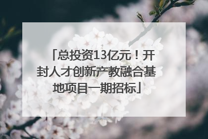 总投资13亿元！开封人才创新产教融合基地项目一期招标
