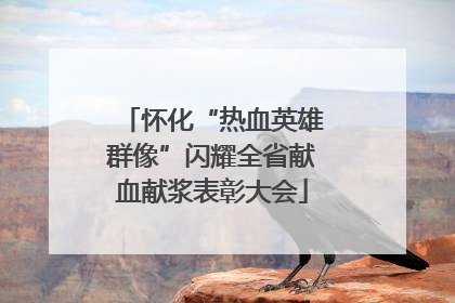 怀化“热血英雄群像”闪耀全省献血献浆表彰大会