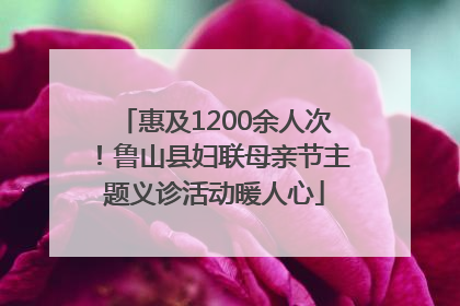 惠及1200余人次！鲁山县妇联母亲节主题义诊活动暖人心