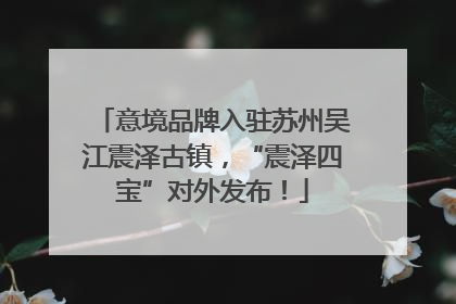 意境品牌入驻苏州吴江震泽古镇，“震泽四宝”对外发布！
