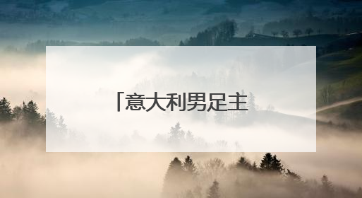 意大利男足主帅斯帕莱蒂“自宣下课”