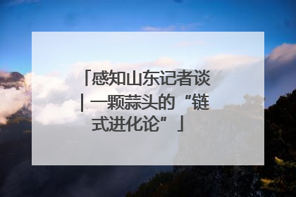 感知山东记者谈｜一颗蒜头的“链式进化论”