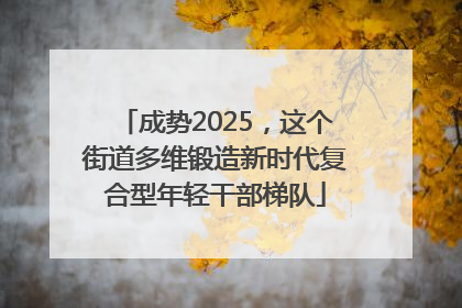 成势2025，这个街道多维锻造新时代复合型年轻干部梯队