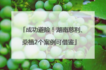 成功避险！湖南慈利、桑植2个案例可借鉴