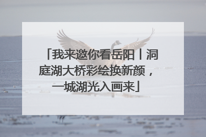 我来邀你看岳阳丨洞庭湖大桥彩绘换新颜，一城湖光入画来
