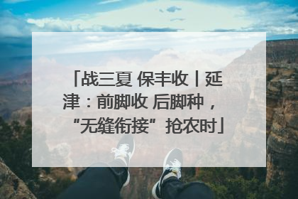 战三夏 保丰收丨延津：前脚收 后脚种，“无缝衔接”抢农时
