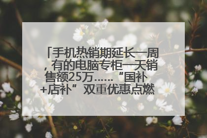 手机热销期延长一周，有的电脑专柜一天销售额25万……“国补+店补”双重优惠点燃德州“考后经济”