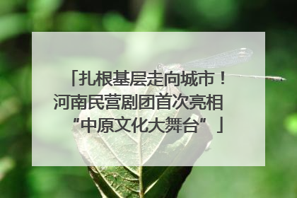 扎根基层走向城市！河南民营剧团首次亮相“中原文化大舞台”