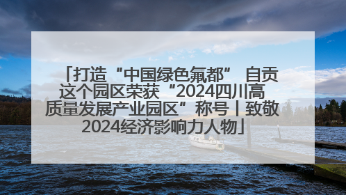 打造“中国绿色氟都” 自贡这个园区荣获“2024四川高质量发展产业园区”称号丨致敬2024经济影响力人物