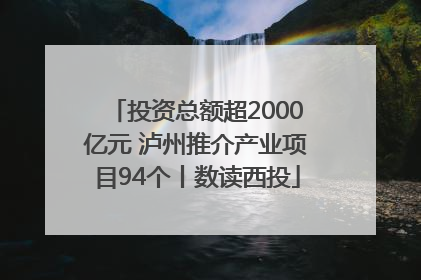 投资总额超2000亿元 泸州推介产业项目94个丨数读西投