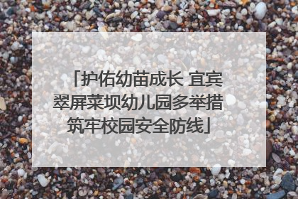 护佑幼苗成长 宜宾翠屏菜坝幼儿园多举措筑牢校园安全防线