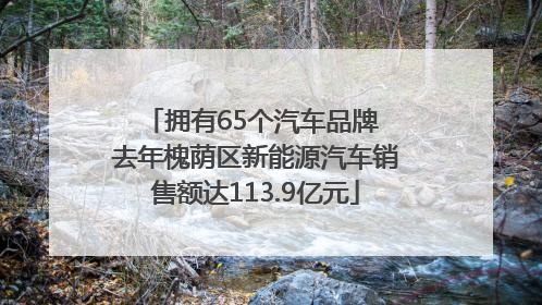 拥有65个汽车品牌 去年槐荫区新能源汽车销售额达113.9亿元